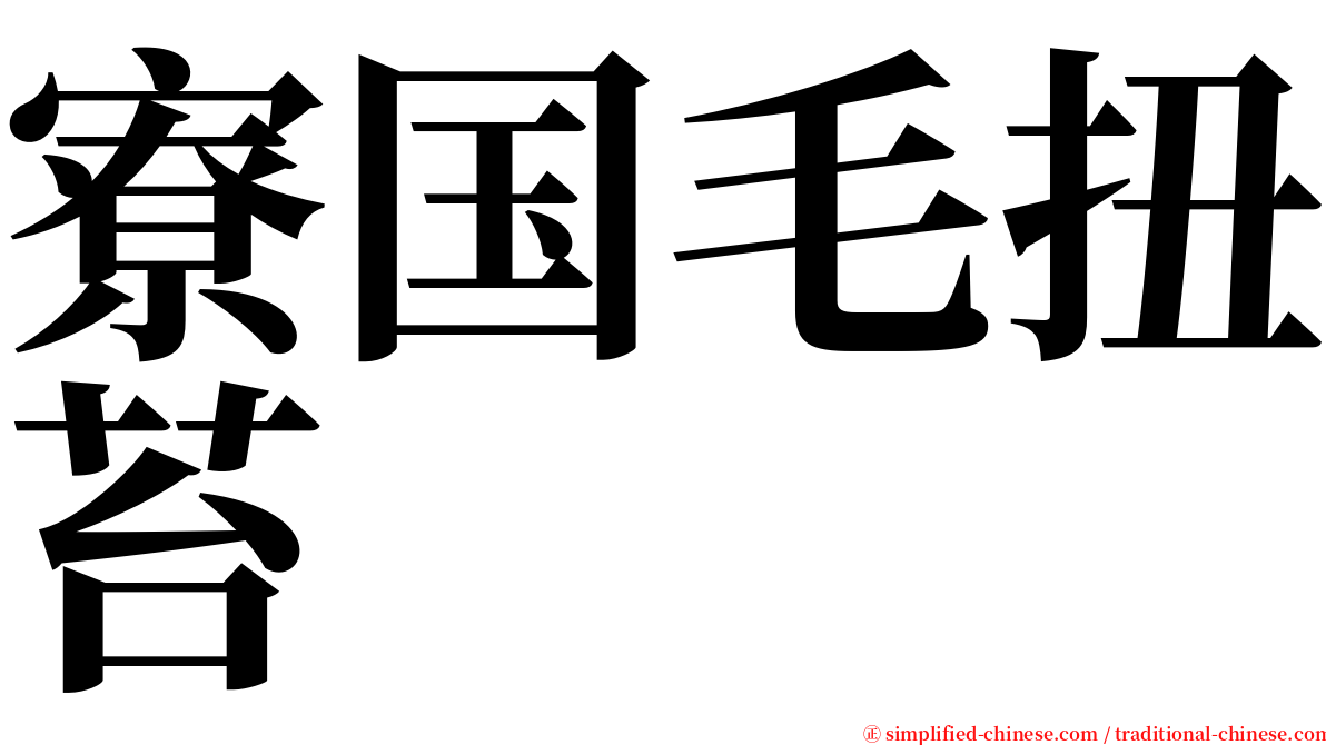 寮国毛扭苔 serif font