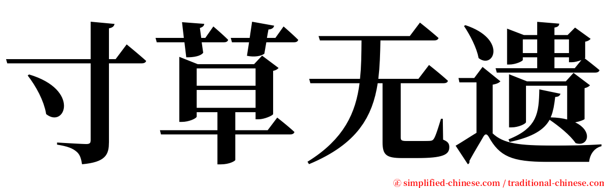 寸草无遗 serif font