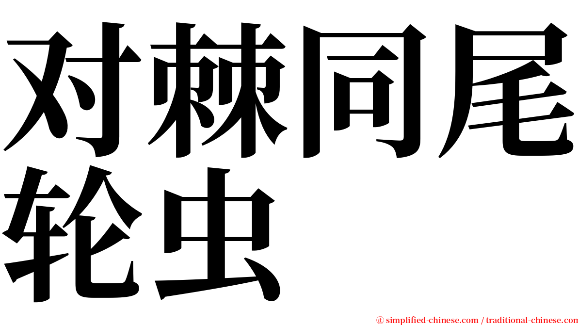 对棘同尾轮虫 serif font