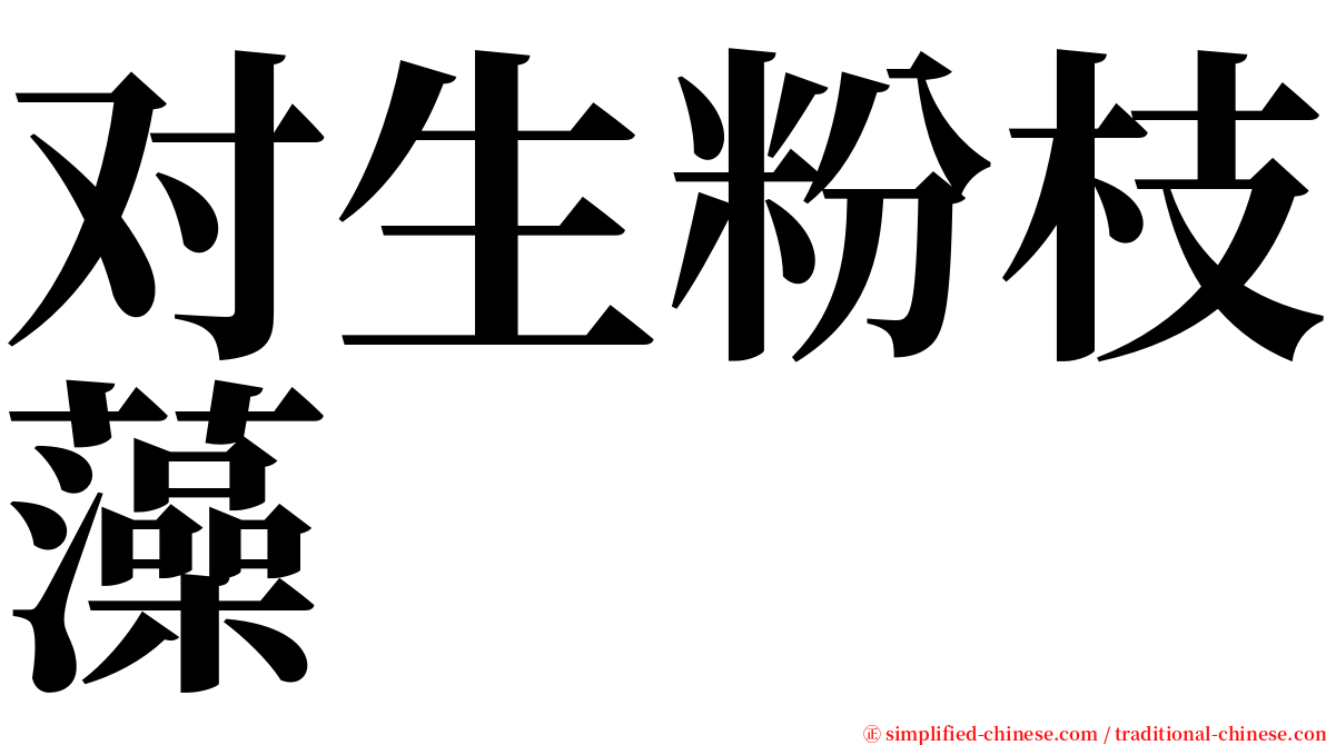 对生粉枝藻 serif font