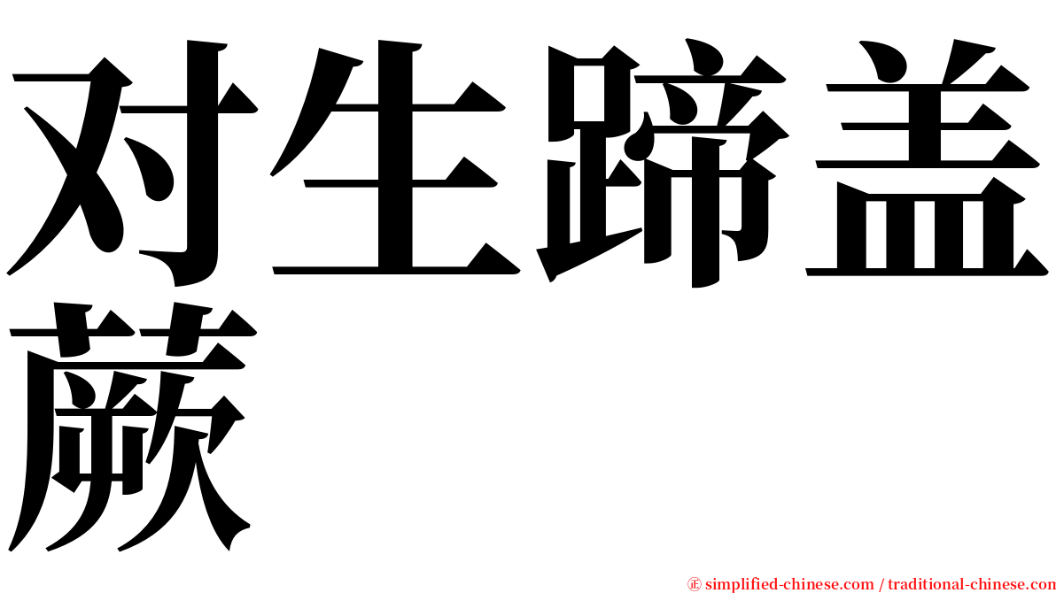 对生蹄盖蕨 serif font