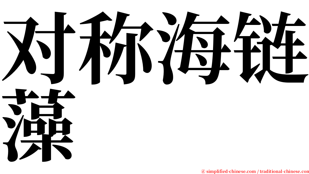 对称海链藻 serif font