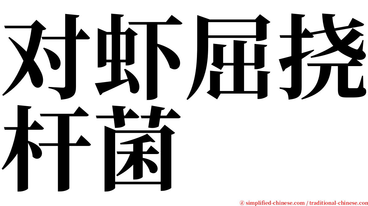 对虾屈挠杆菌 serif font