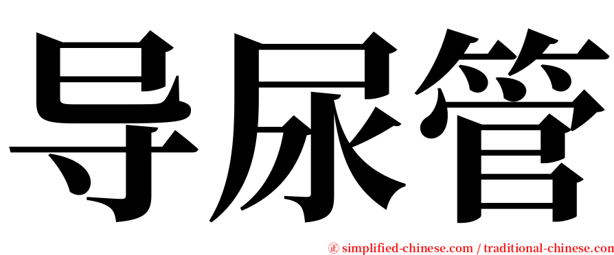 导尿管 serif font