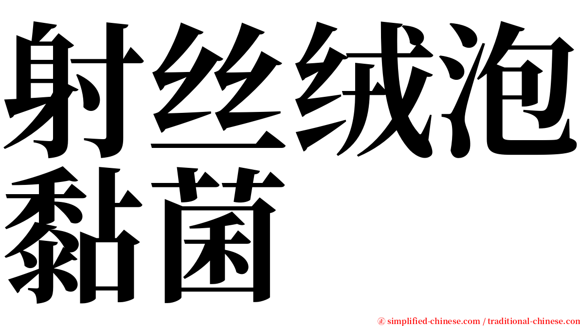 射丝绒泡黏菌 serif font