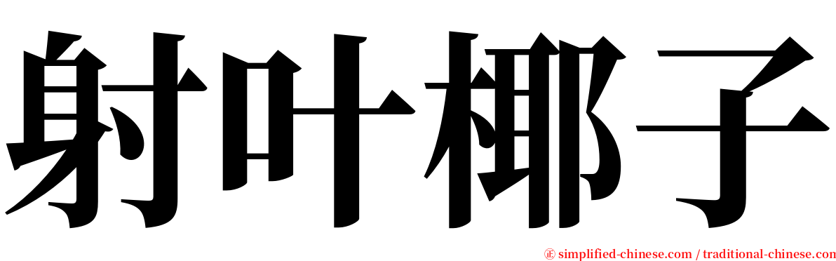 射叶椰子 serif font