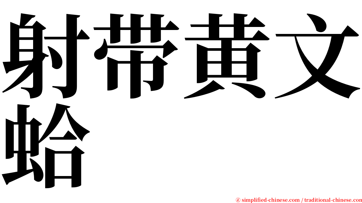 射带黄文蛤 serif font