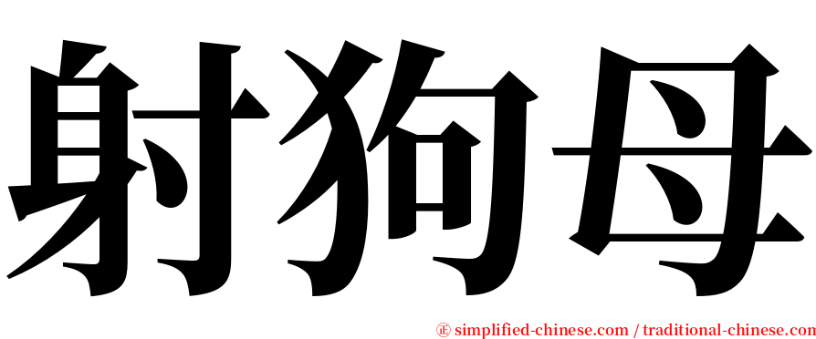 射狗母 serif font