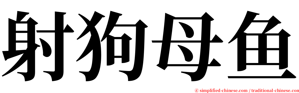 射狗母鱼 serif font