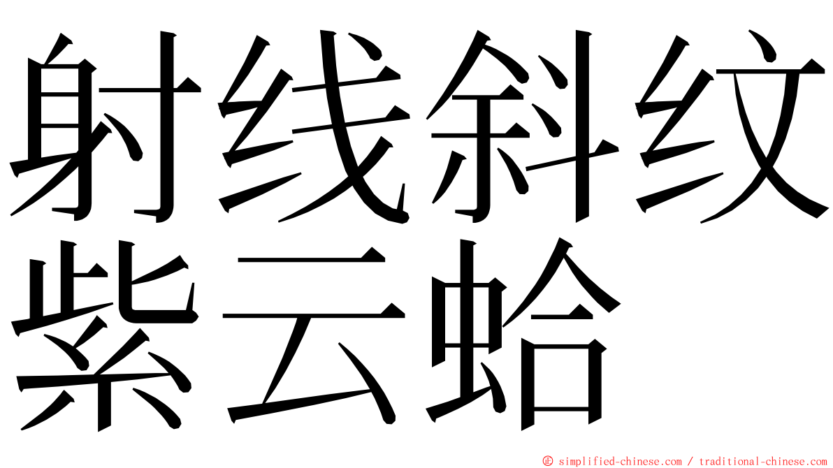 射线斜纹紫云蛤 ming font