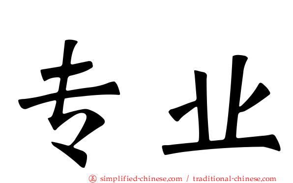 专业
