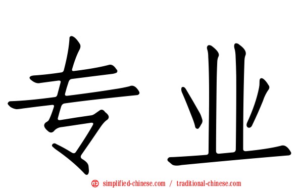 专业