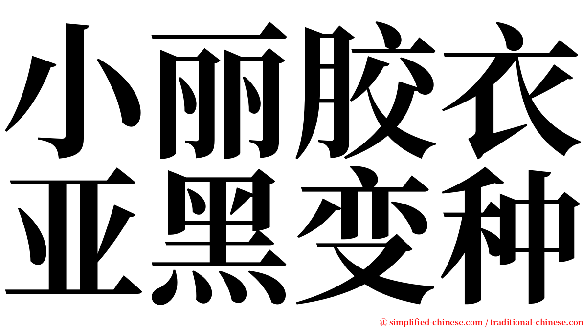 小丽胶衣亚黑变种 serif font