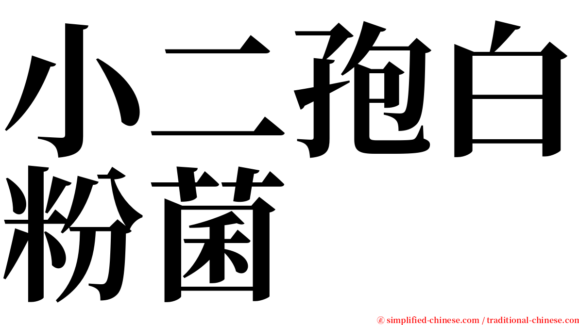 小二孢白粉菌 serif font