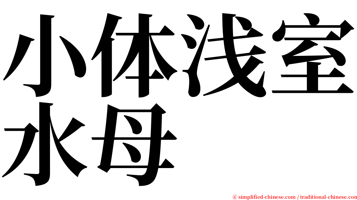 小体浅室水母 serif font