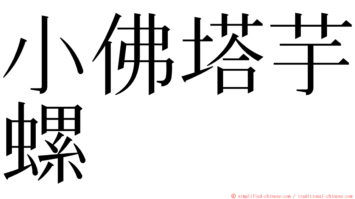 小佛塔芋螺 ming font