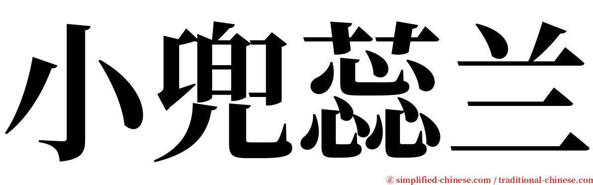 小兜蕊兰 serif font