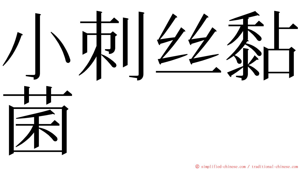 小刺丝黏菌 ming font