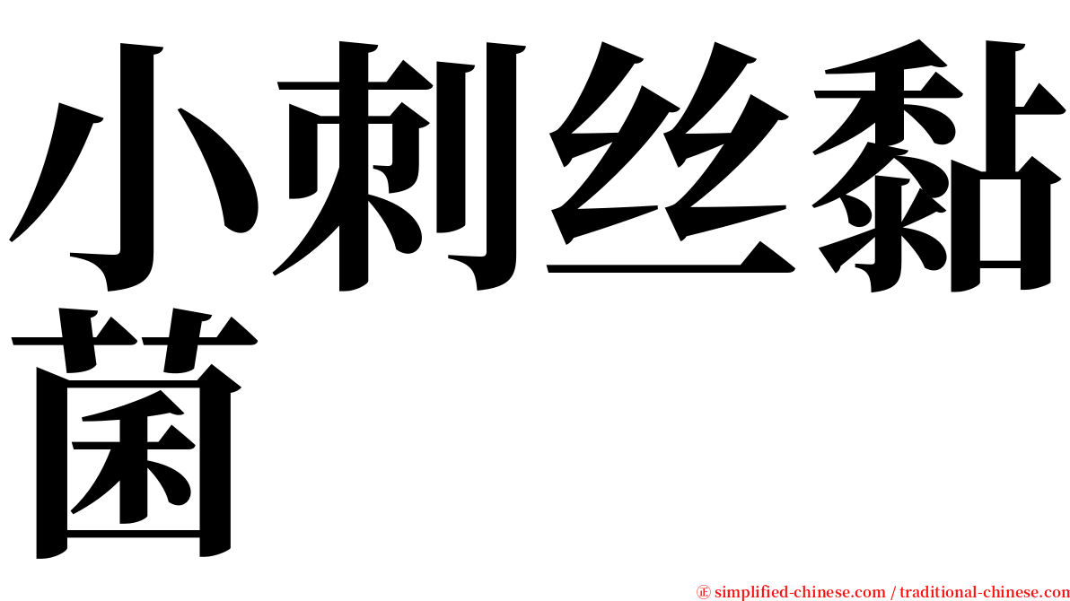 小刺丝黏菌 serif font