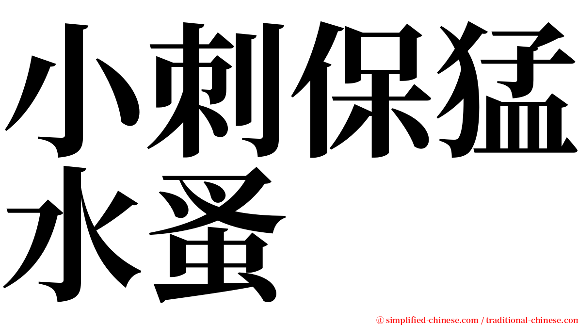 小刺保猛水蚤 serif font