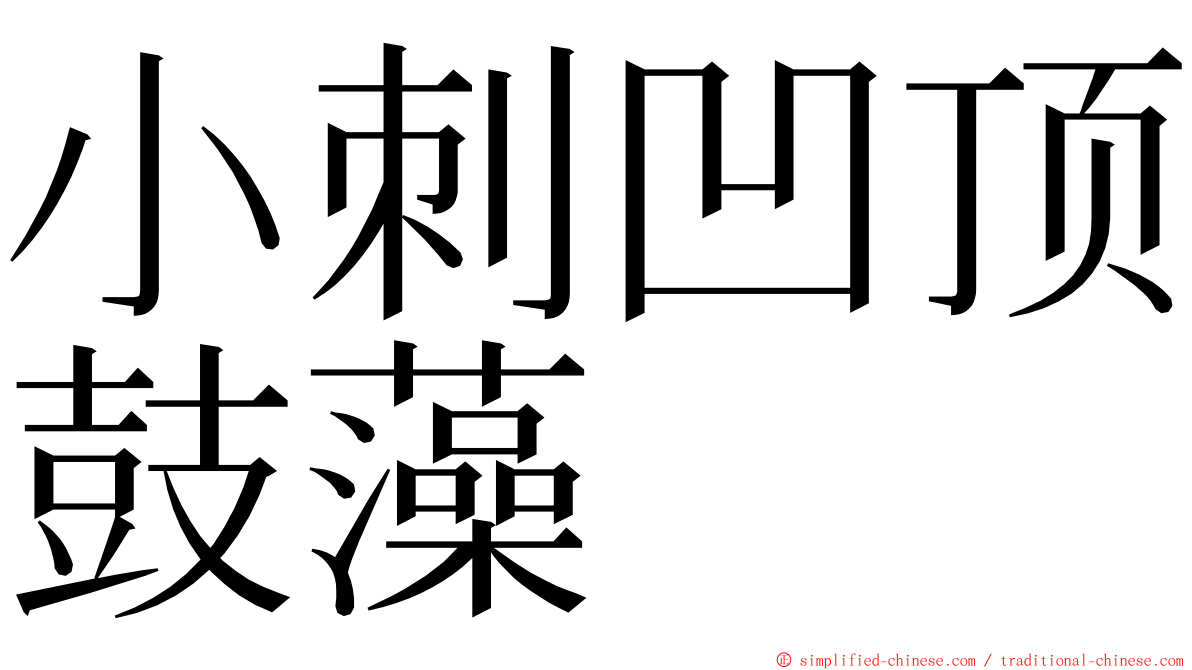 小刺凹顶鼓藻 ming font