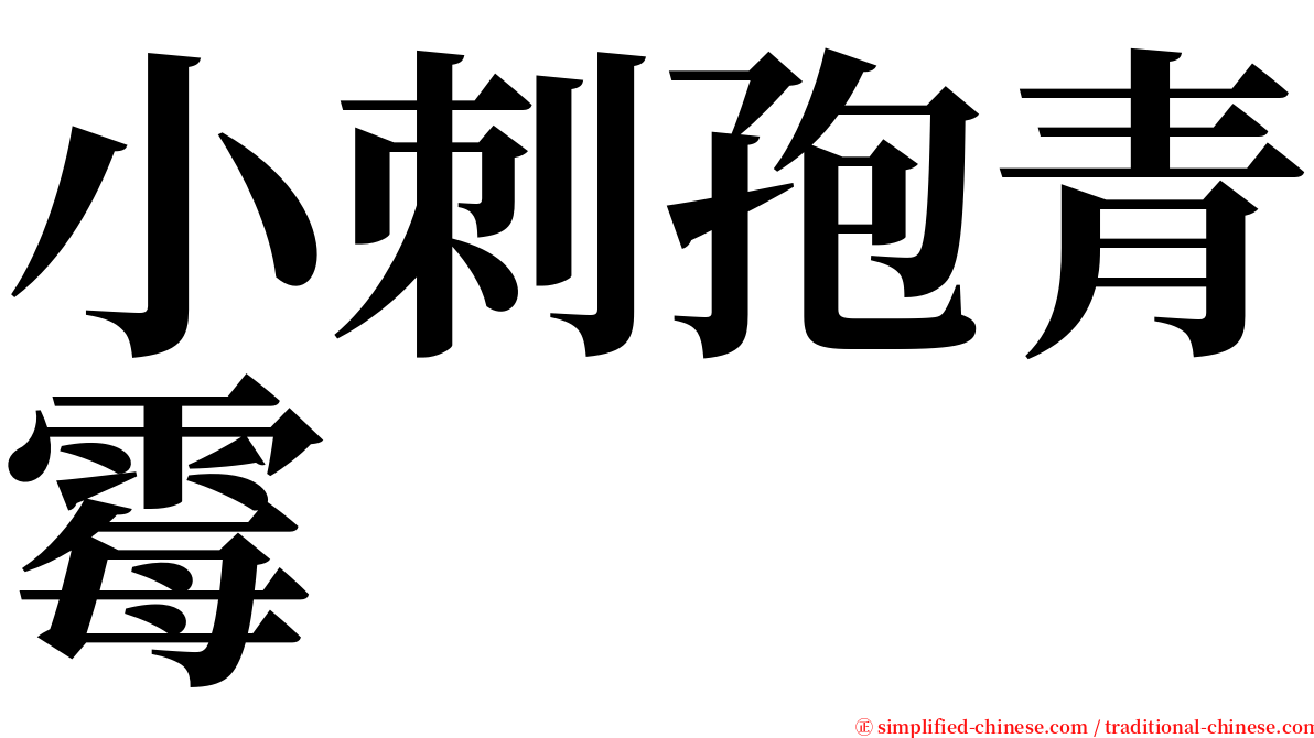 小刺孢青霉 serif font