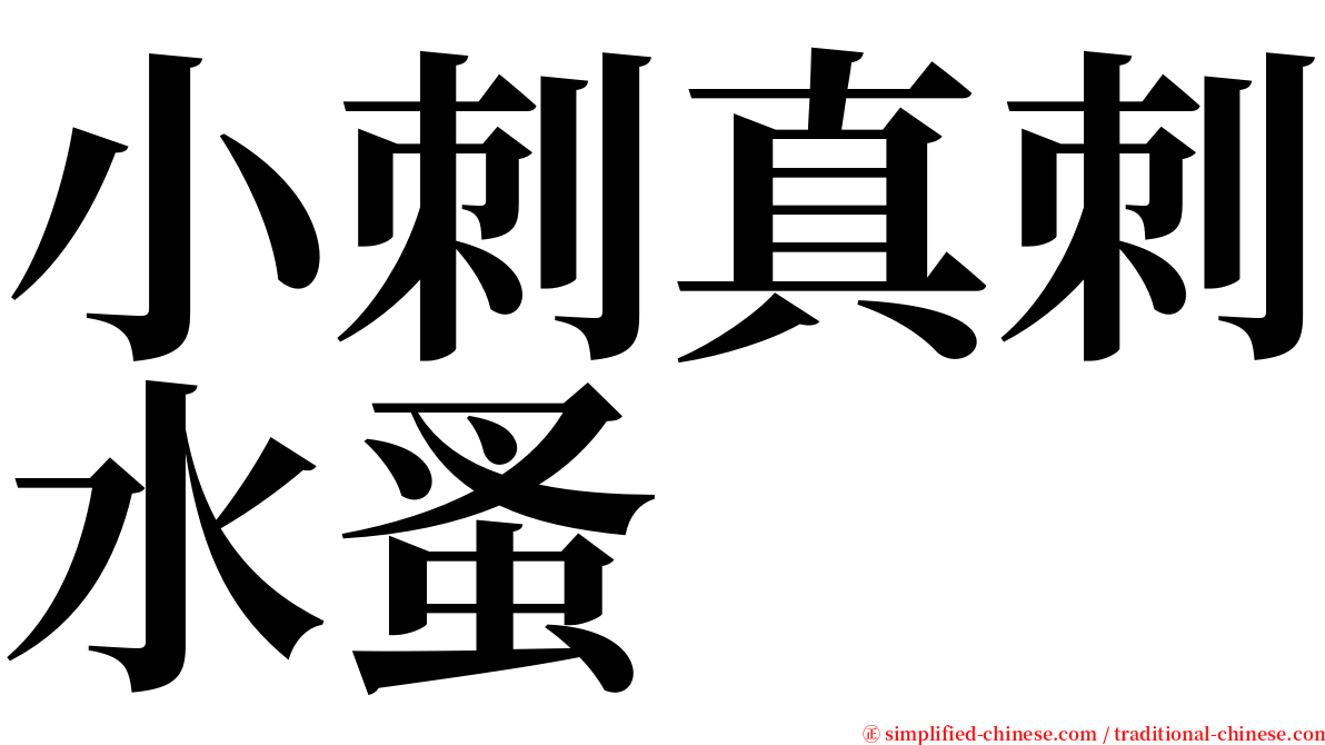 小刺真刺水蚤 serif font