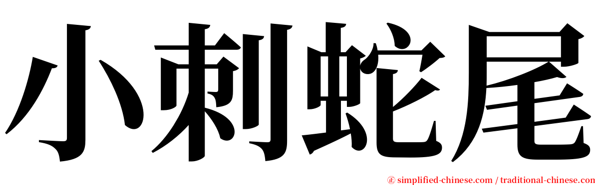 小刺蛇尾 serif font