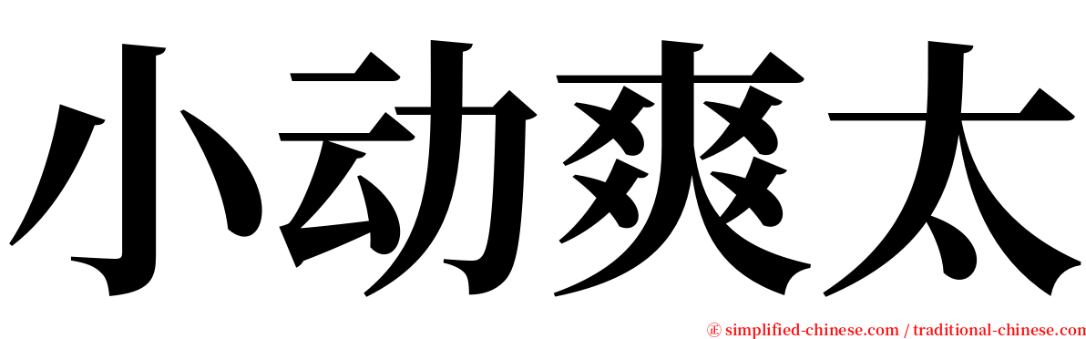 小动爽太 serif font