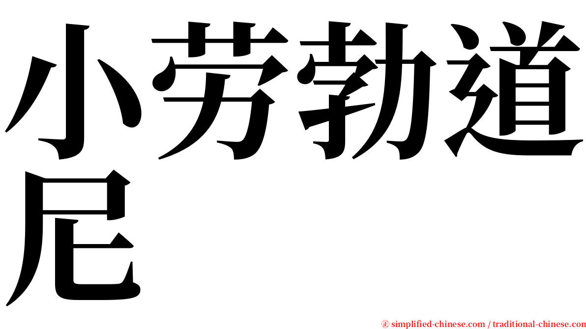 小劳勃道尼 serif font