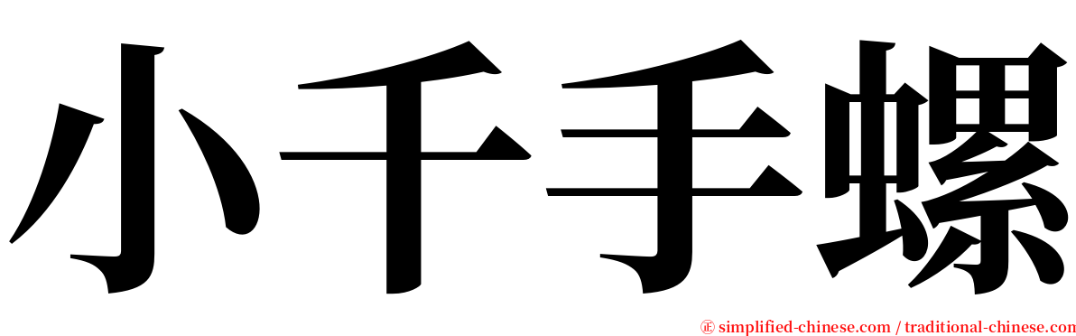 小千手螺 serif font