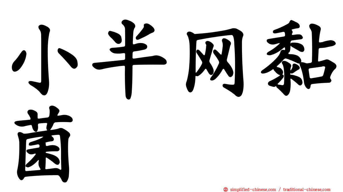 小半网黏菌