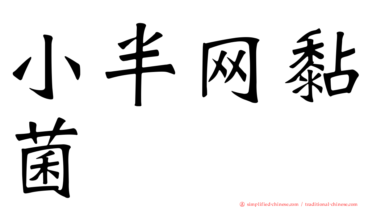 小半网黏菌