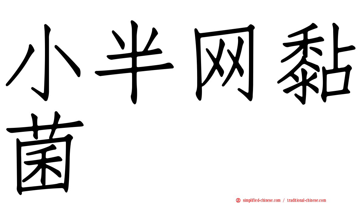 小半网黏菌