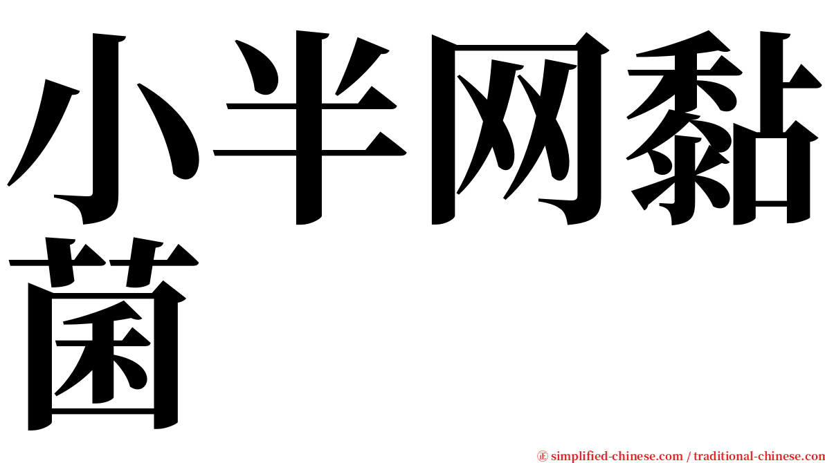小半网黏菌 serif font