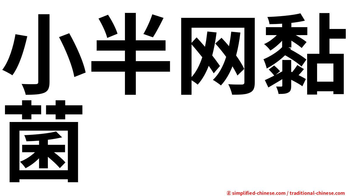 小半网黏菌