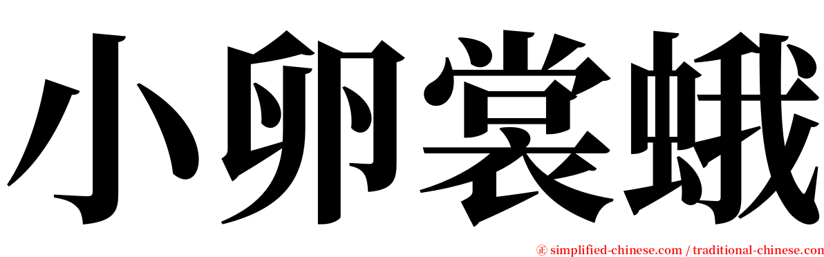 小卵裳蛾 serif font