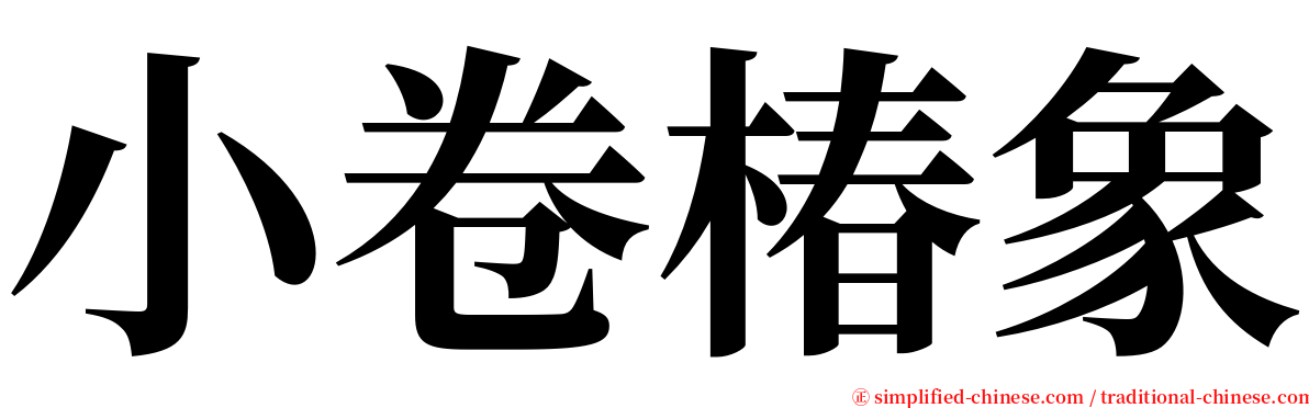 小卷椿象 serif font