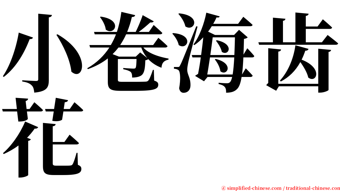 小卷海齿花 serif font