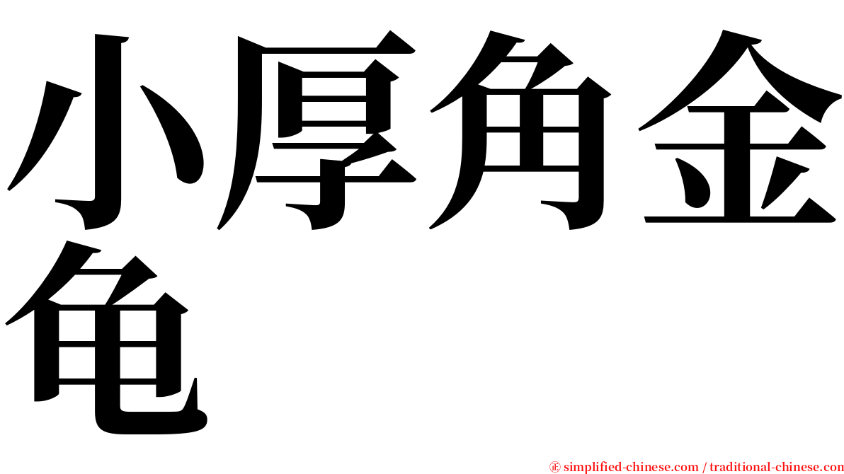 小厚角金龟 serif font