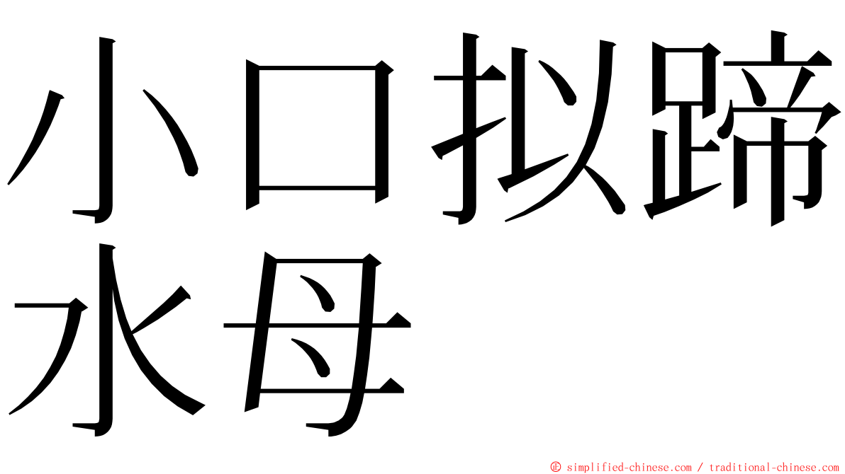 小口拟蹄水母 ming font