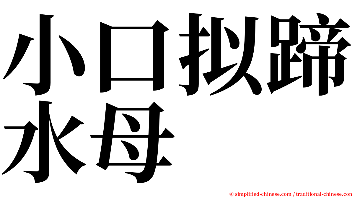 小口拟蹄水母 serif font