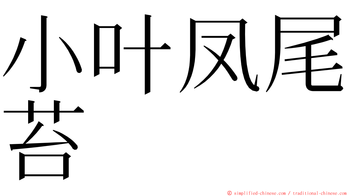 小叶凤尾苔 ming font