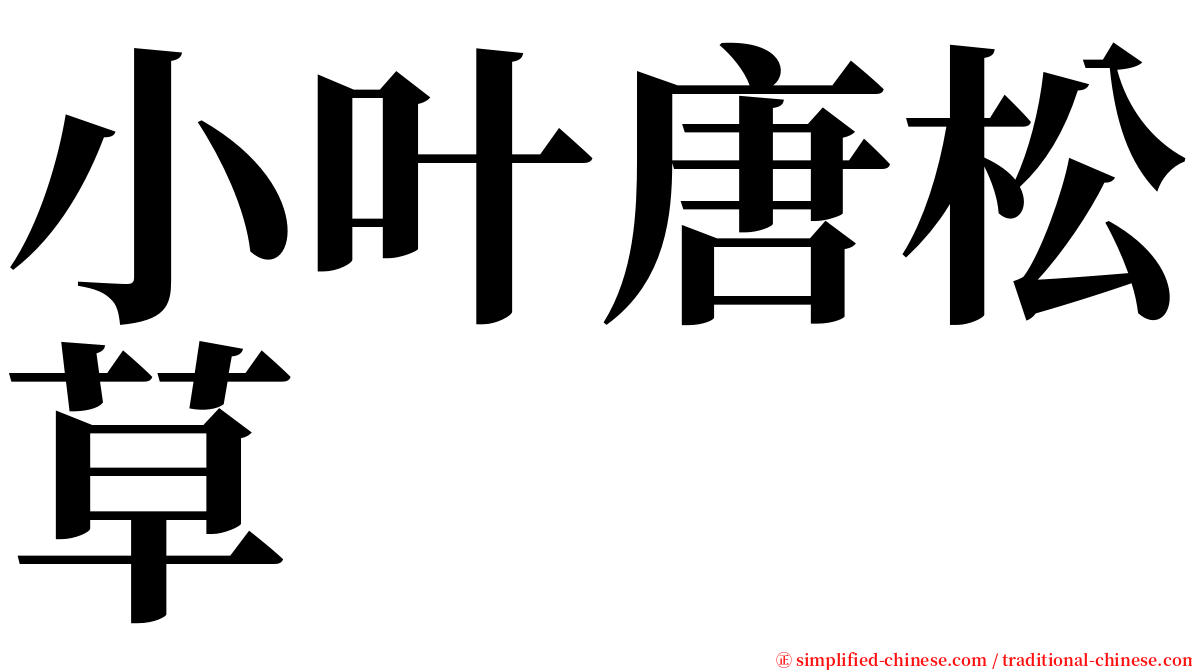 小叶唐松草 serif font