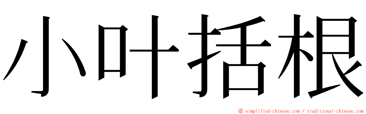 小叶括根 ming font