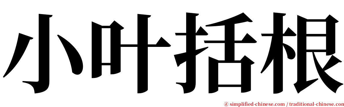 小叶括根 serif font