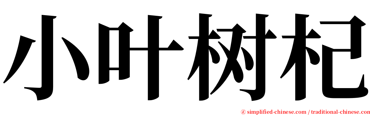 小叶树杞 serif font