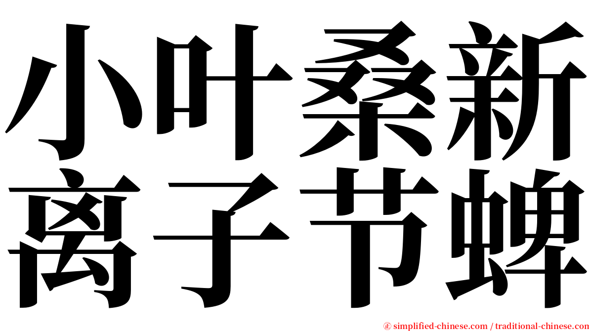 小叶桑新离子节蜱 serif font