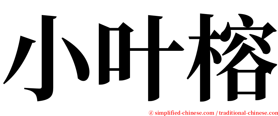 小叶榕 serif font