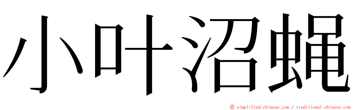 小叶沼蝇 ming font